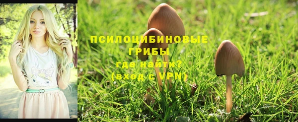кокс Михайлов