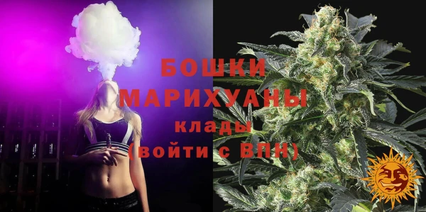 кокс Михайлов