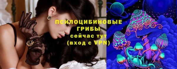 PSILOCYBIN Михайловка