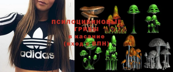 прущая мука Сосновый Бор
