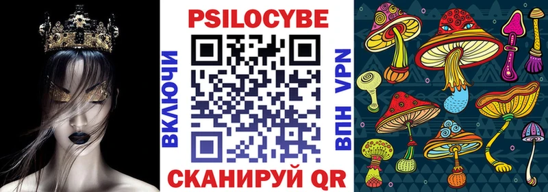 маркетплейс телеграм  Железногорск-Илимский  Галлюциногенные грибы Psilocybine cubensis 